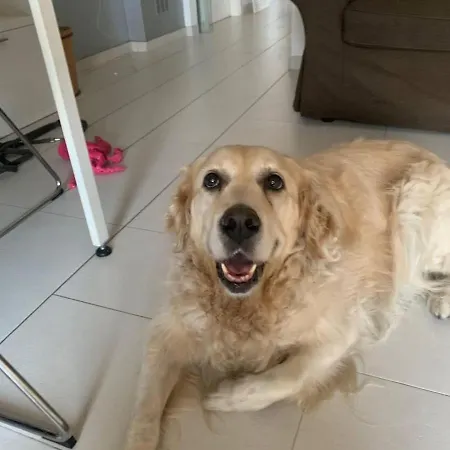 Apartament Studio_suite05 *